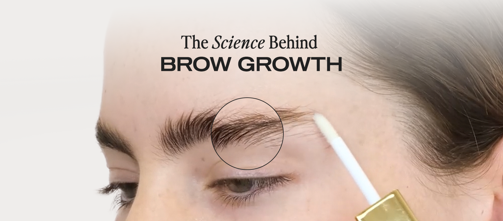 The Science Behind Brow Growth | Brow Code Australia
